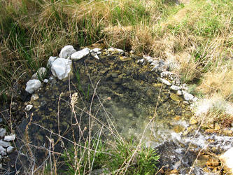 small upper pool near spring (Owens Valley)
